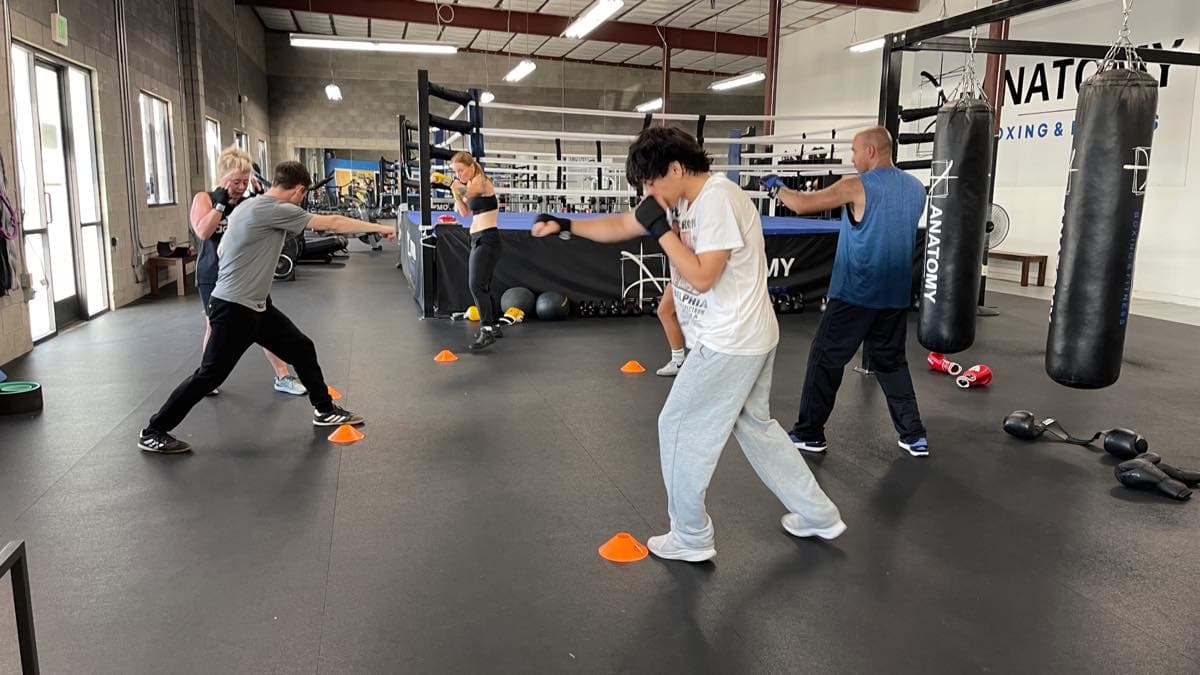 The training space at Anatomy Boxing and Fitness